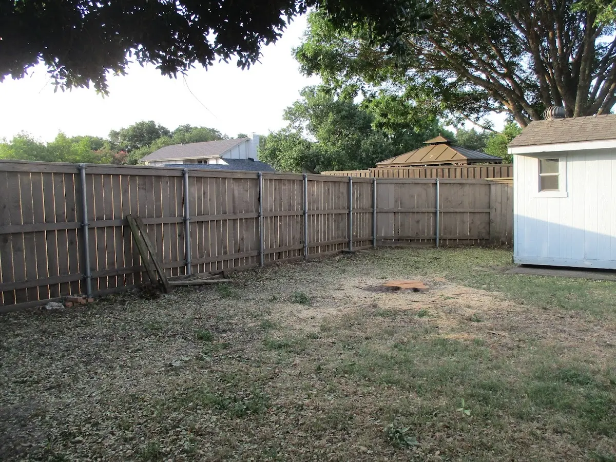 Cleared yard after professional tree removal in Santa Clara
